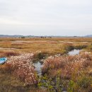 새만금바람길 이미지