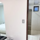 아라파니 이미지