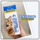 도그원 | 3마리 고양이가 n년째 먹는 유산균 더블락토 내돈내산