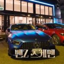 도그 인 시티 티스토리