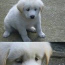 커플모텔 이미지