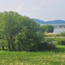 모아행정사사무소 이미지