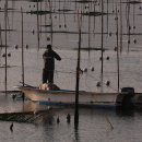 바다농장 이미지