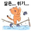 미홈케어 이미지