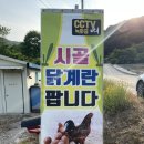 목란농장 이미지