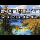 솔밭사이로 이미지