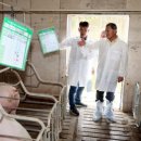 관리농장 이미지