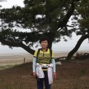 솔모랫길 이미지