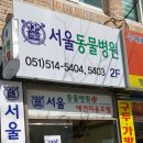 남천동물병원 네이버블로그
