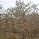 영민 농장 이미지