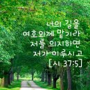 중앙성결교회 이미지