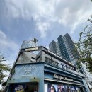 디옵터뮤지엄 | 송도안경점 디옵터뮤지엄 모스콧렘토쉬 종류 및 선택방법