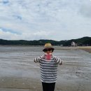 삼우회 임인숙(삼일회.서울)회원 화천평화의 댐, 대부도.시화방조대를 다녀오다. 이미지