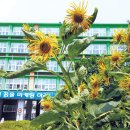 부산마케팅고등학교 이미지