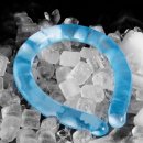 주식회사 디와이커머스 이미지