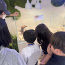 어푸어푸 | 스타필드 운정 어푸어푸 후기 | 아이와 가볼만한 파충류 체험 카페 (도마뱀 핸들링)