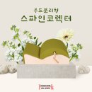 필라문 | 한국필라테스 기구 납품후기 ㅣ 서울 수유 더바디핏 필라테스_수유점 & 평택 필라문스튜디오 & 서울...