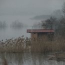 예당낚시터 이미지