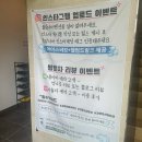 사천전기조명 | [돌담너머 펜션] 강릉 사천해변 감성숙소 솔직후기(반려견 동반가능)