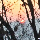 서리풀공원 이미지