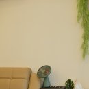 영블리네일 - 계룡시 번영6길 8-6 | 영블리네일