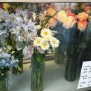 가비맨션 이미지