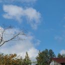 한국체대 킴스태권도장 이미지