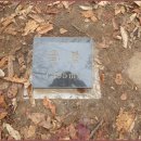 굴봉산쉼터 이미지