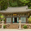 금정사 Daum카페