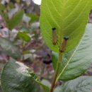 운향농장 이미지