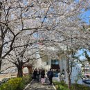 중앙초등학교  주변 | 순천벚꽃명소🌸순천 동천 벚꽃길/주차장위치안내