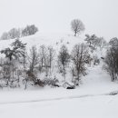 운주목장 이미지