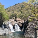 지리산리조트 이미지