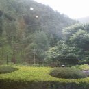 물연구소 이미지