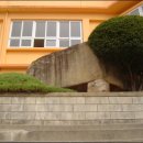 창원 외동지석묘 이미지