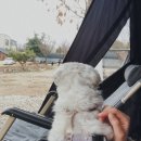 스톤힐 캠핑장 네이버블로그