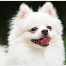 신천동물병원 이미지