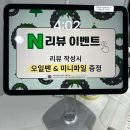 비로소 네일 | 강남구청역네일샵 플디아네일 유지력좋은 유니크한 젤네일아트 후기