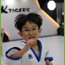 경희대KTIGERS태권도