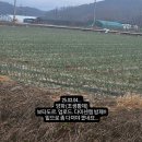 휴바스 이미지