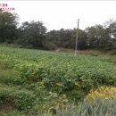 하가경로당 이미지