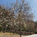 충혼탑 주차장 주변 이미지