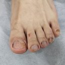 파나슈 뷰티