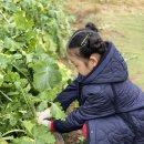 국현농장 이미지