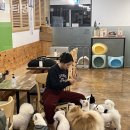 큐티멍 이미지