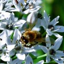 봄을 그리다 이미지