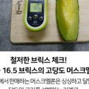 더봄푸드