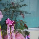 입석 명성식당