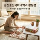 초보 엄마 필수템 임신육아책 출산육아책 뽕 뽑는 활용 가이드