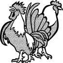 유통행정사 이미지